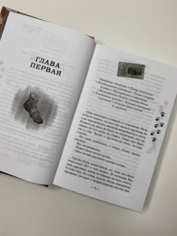 Терри Пратчетт: Делай деньги!