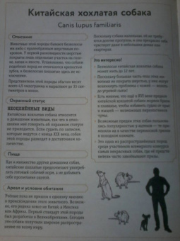 Сэми Бэйли: Энциклопедия удивительных животных