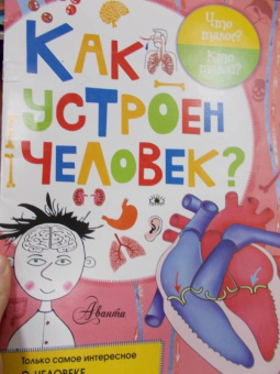 Вера Иванова: Как устроен человек?