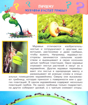 Павел Бобков: Большая книга почему
