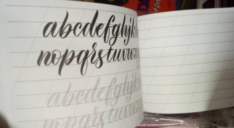 Анна Суворова: Каллиграфия кистью. Прописи. Латиница