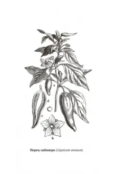 Катя Астафьефф: Дурное семя. Удивительная история жалящих, обжигающих и убивающих растений