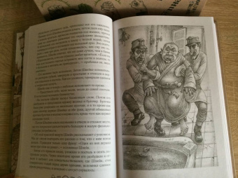 Ярослав Гашек: Похождения бравого солдата Швейка (комплект из 2-х книг)