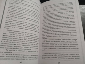 Терри Пратчетт: Мрачный Жнец