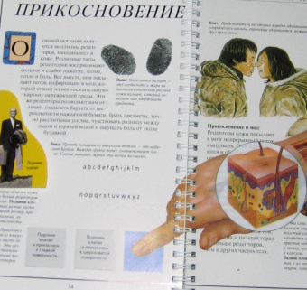 Грехам, Уолкер: Дискавери:  Анатомия человека