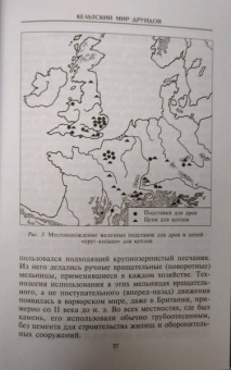 Стюарт Пиготт: Друиды. Поэты, ученые, прорицатели