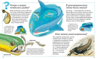 О'Нейлл Аманда, Макдональд Фиона, Тейлор Барбара, Ганери Анита: Где, что и когда?