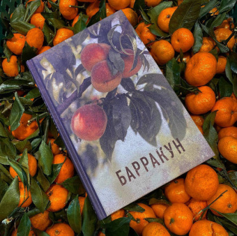 Зора Хёрстон: Барракун. История последнего раба, рассказанная им самим