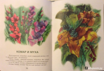 Валерий Кастрючин: Сказки Чудо-дерева