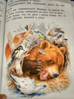 Николай Сладков: Сказки лесной опушки