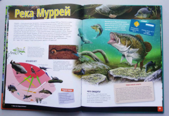 Жизнь животных. Реки и озера