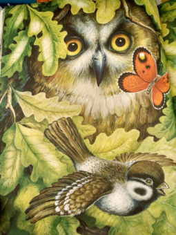 Николай Сладков: Сказки лесной опушки