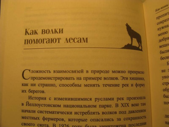 Петер Воллебен: Тайные связи в природе