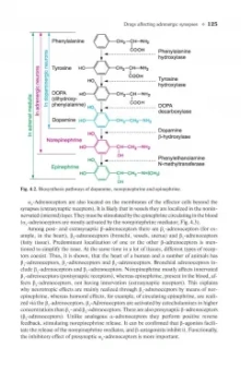 Дмитрий Харкевич: Pharmacology. Textbook