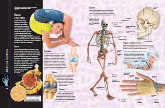 Маркус Джонсон: Тело человека. Виртуальная реальность