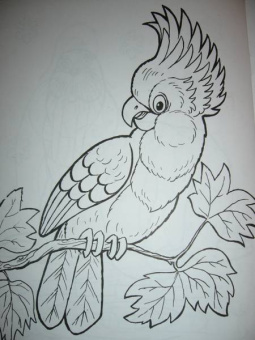 Татьяна Коваль: Живая планета