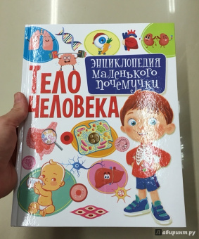 Елена Кулакова: Тело человека. Энциклопедия маленького почемучки