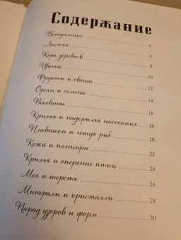 Седлачкова, Секанинова: Формы и узоры природы