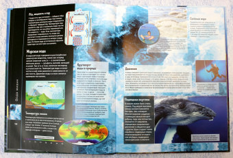 Анна МакРей: Океаны и моря. Виртуальная реальность