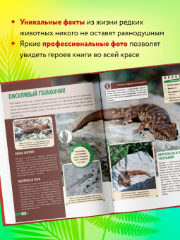 Дмитрий Лукашанец: Красная книга России:  животные, растения, птицы, насекомые