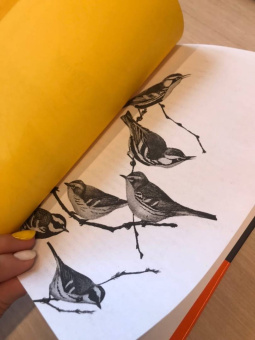 Эмма Донохью: Притяжение звезд