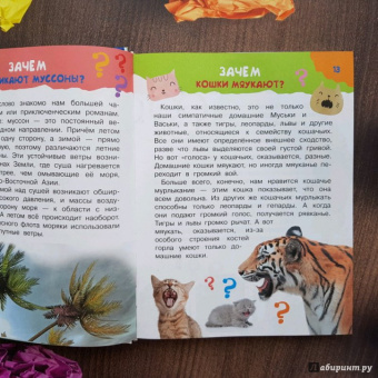 Малов, Альтшулер: 100 тысяч почему