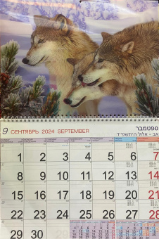 Календарь Стерео на 2025-2026 год: Стая волков