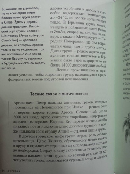 Андреас Хазе: Деревья. Как жизни человека и дерева переплетены друг с другом