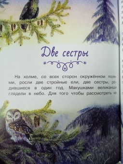 Наталия Немцова: Новогодние сказки с волшебными картинками