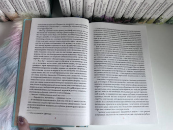 Шарлотта Бронте: Шерли