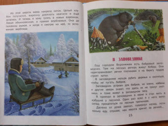 Геннадий Снегирев: Верблюжья варежка