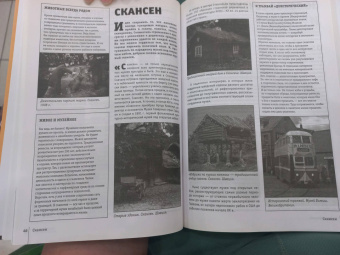 Мария Тараканова: Искусство