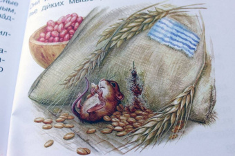 Виталий Бианки: Мышонок Пик