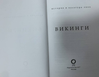Наталия Будур: Викинги