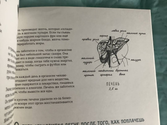 Матильда Мастерс: Может ли жираф облизать свои уши? И ещё 319 вопросов о мире вокруг