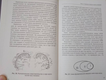 Татьяна Визель: Основы нейропсихологии. Теория и практика