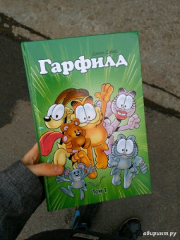 Эванир, Дэвис: Гарфилд. Том 1