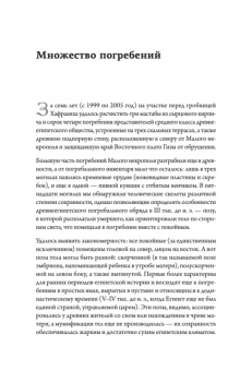 Лебедев, Ветохов, Малых: Забытые гробницы. Тайны древнеегипетского некрополя