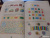 Василий Федиенко: Логика, память и внимание