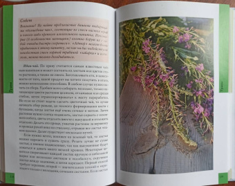 Елизавета Целыхова: Готовим в охотничьей избушке