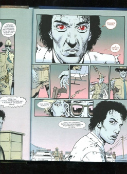 Гарт Эннис: Проповедник. Книга первая