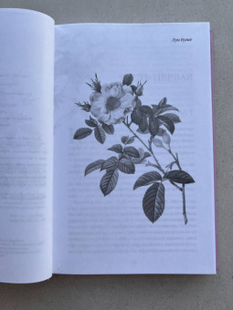 Гюстав Флобер: Госпожа Бовари