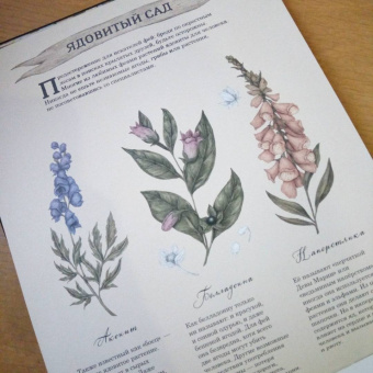 Секретная жизнь фей