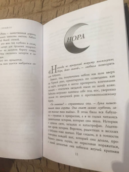 Ши Эрншоу: Зимняя Чаща