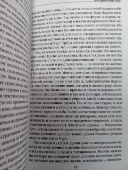 Джоанн Харрис: Земляничный вор