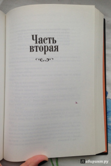 Диана Сеттерфилд: Беллмен и Блэк, или Незнакомец в черном