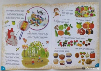 Вера Иванова: Как устроен человек?