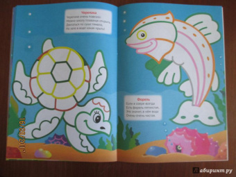 Подводный мир