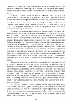 Блохин, Блохина: Практикум по зоологии. Учебное пособие для вузов