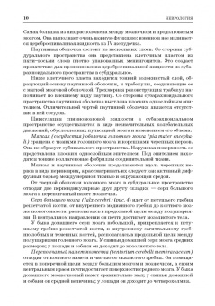 Зеленевский, Щипакин, Былинская: Анатомия животных. Неврология. Особенности строения домашней птицы. Практикум